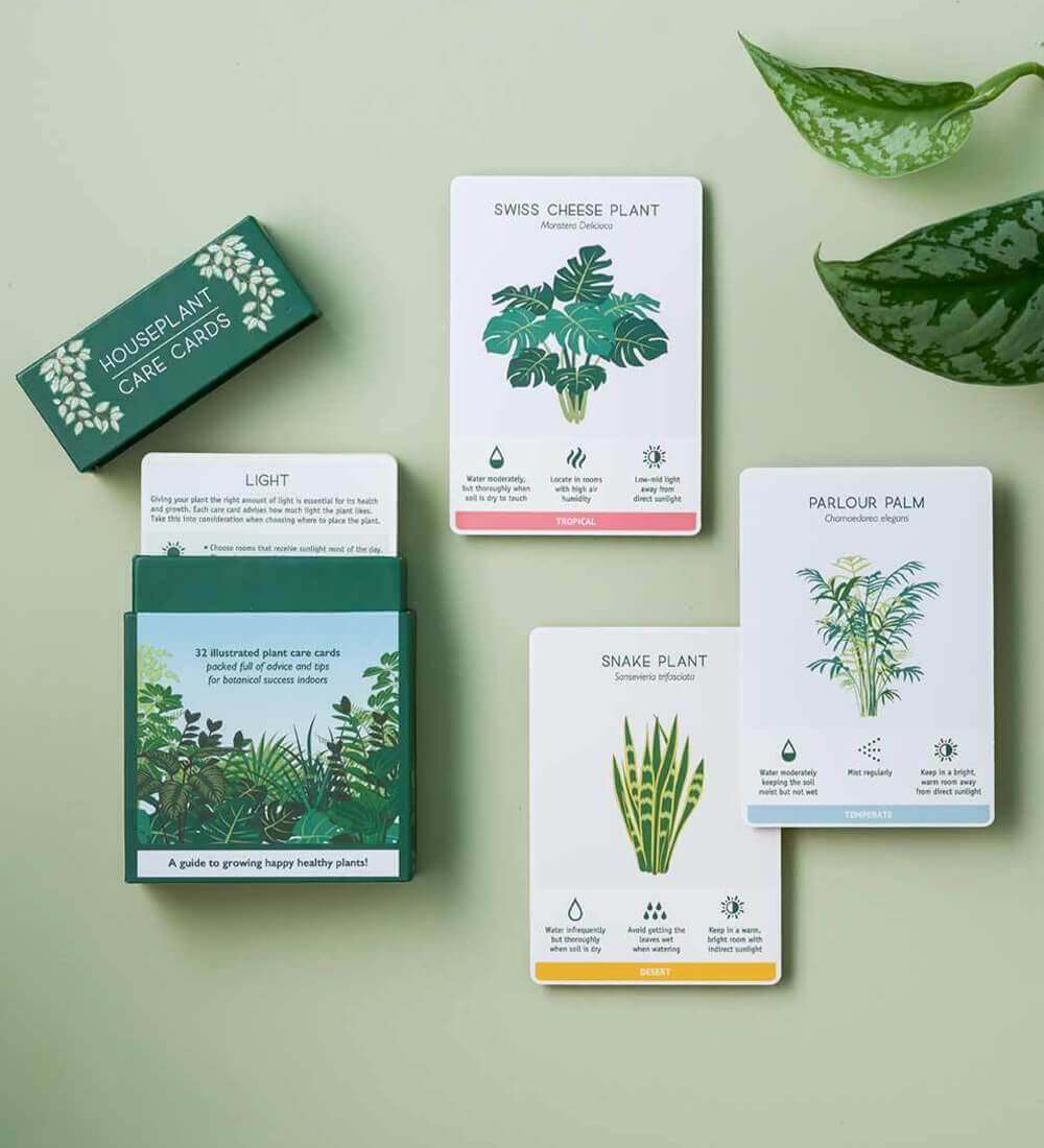 Houseplant Care Cards Set