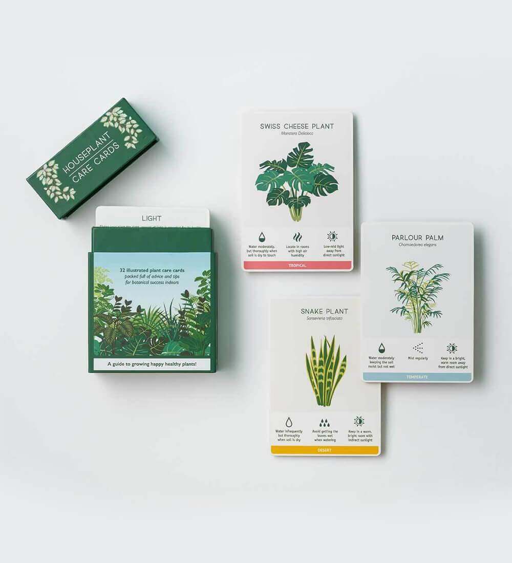 Houseplant Care Cards Set